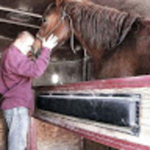 Meet your Posher, Austin